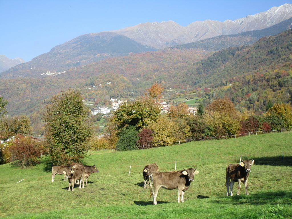 Casa Dantina Stenico